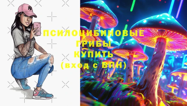 винт Армянск