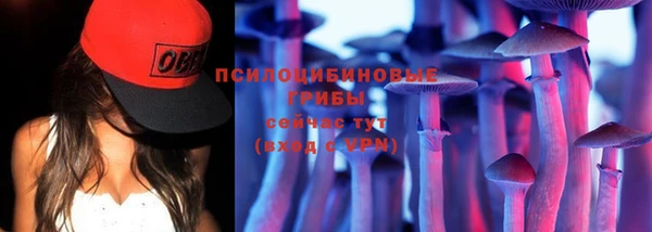 мескалин Арсеньев