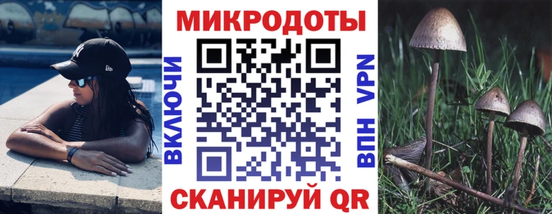 Псилоцибиновые грибы Psilocybe  Талдом 